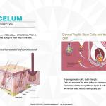 FACELUM