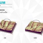 FACELUM