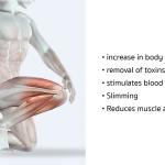 MUSCELL fx